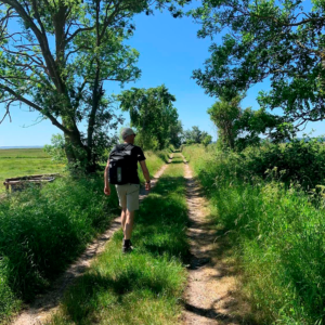 Camønoen på Møn – vandrerute i dansk natur med kyst og skov